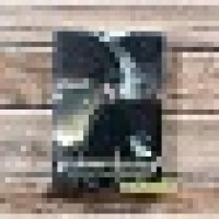 Image of Eccedentesiast Diamond Gang Universe